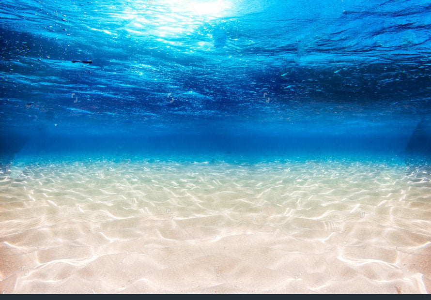 Essenza Profumata - Acqua Marina